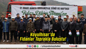 Koyulhisar’da Fidanlar Toprakla Buluştu!