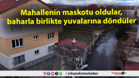 Mahallenin maskotu oldular