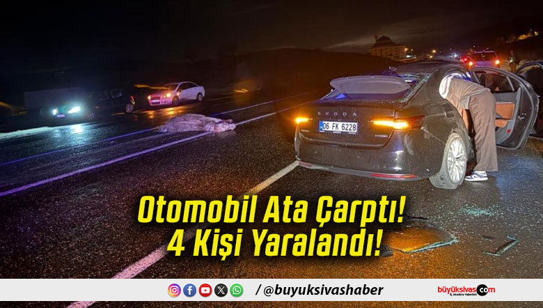 Otomobil Ata Çarptı