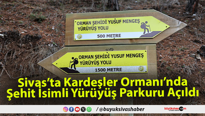Sivas’ta Kardeşler Ormanı’nda