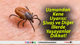 Uzmandan Kene Uyarısı