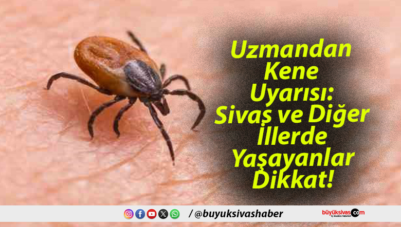 Uzmandan Kene Uyarısı