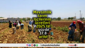 arttıs