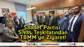 bmsa