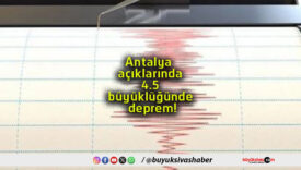 büyüks