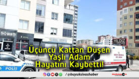 hayatınıs