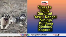 kaptırdıs