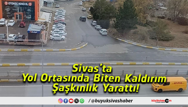 şaşkı