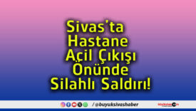 silahlıs