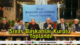 toplandısa