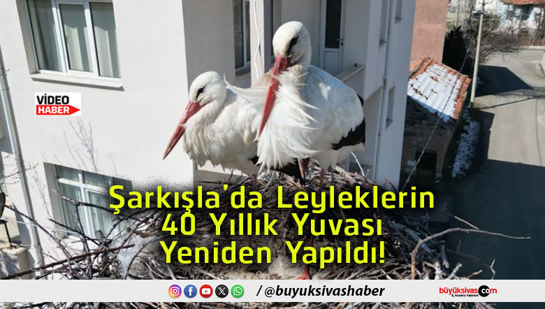 yapılds
