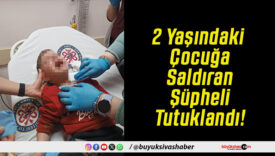 2 Yaşındaki Çocuğa Saldıran Şüpheli Tutuklandı!