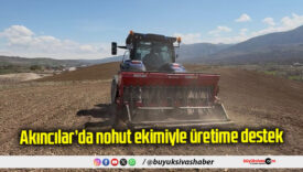 Akıncılar’da nohut