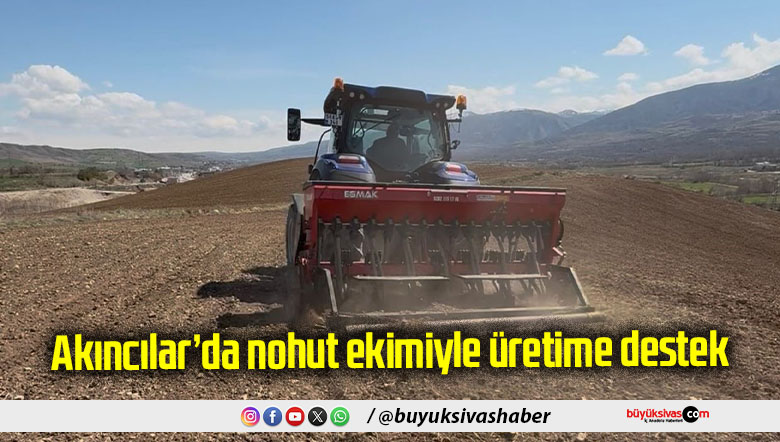 Akıncılar’da nohut