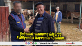 Çobanları Hamama Götürüp 5 Milyonluk Hayvanları Çaldılar!