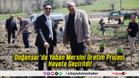 Doğanşar’da Yaban Mersini Üretim Projesi Hayata Geçirildi!