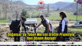 Doğanşar’da Yaban Mersini Üretim Projesiyle Yeni Dönem Başladı!