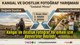 Kangal Ve Dostluk Fotoğraf Yarışması İçin Başvurular Başladı!