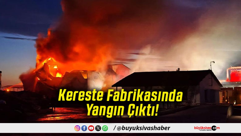 Kereste Fabrikasında Yangın Çıktı!