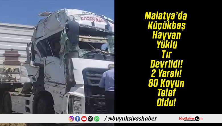 Malatya’da Küçükbaş Hayvan Yüklü Tır Devrildi! 2 Yaralı! 80 Koyun Telef Oldu!