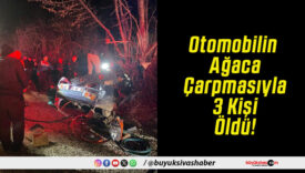 Otomobilin Ağaca Çarpmasıyla 3 Kişi Öldü!
