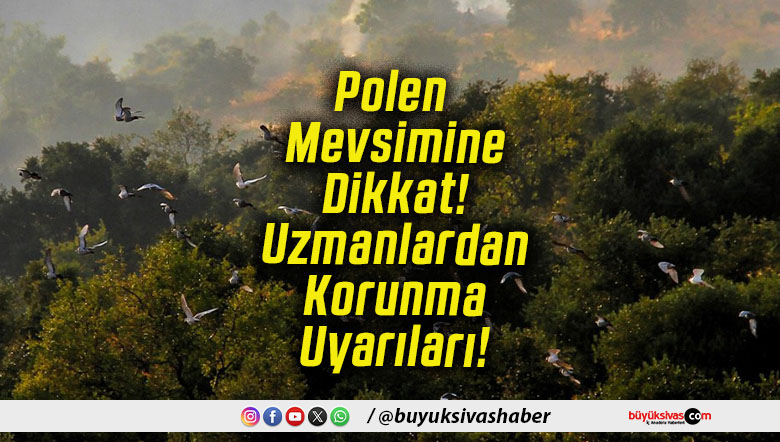 Polen Mevsimine Dikkat! Uzmanlardan Korunma Uyarıları!