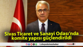 Sivas Ticaret ve Sanayi