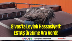 Sivas’ta Leylek Hassasiyeti