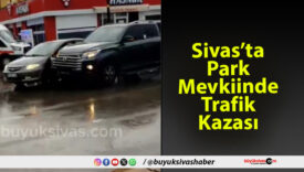 Sivas’ta Park Mevkiinde