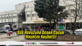 Süs Havuzuna Düşen Çocuk Hayatını Kaybetti!