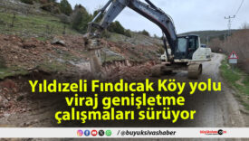 Yıldızeli Fındıcak Köy