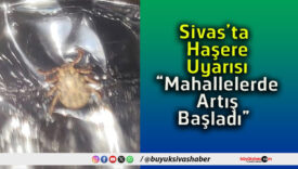 artışsa