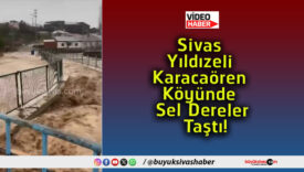 dıza