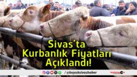 fiyatlar