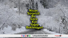 gecesad