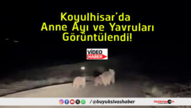 görüntüle