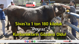 gözdesi
