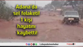 kişsi