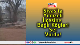 köyleris