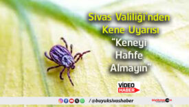 mayın