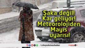 meetes