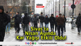 olda