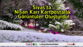 oluş