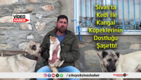 şaşar