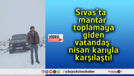 tandaşs