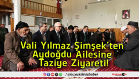 taze