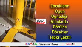 tepkis