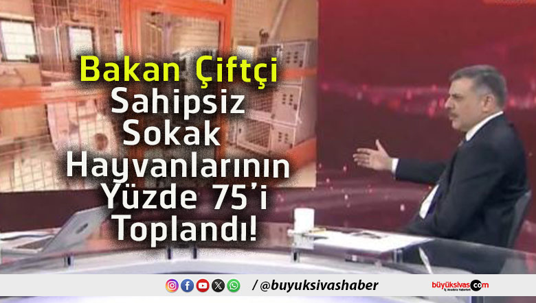 toplandıs