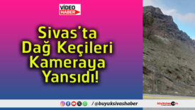 yansa