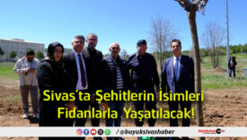 yaşa